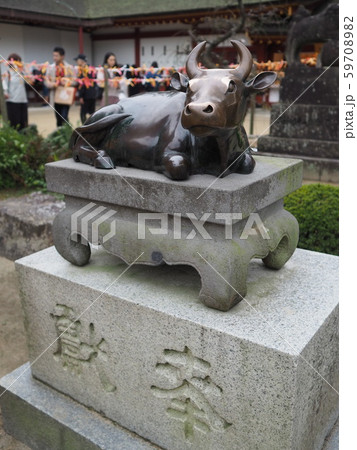 御神牛 御神牛 59708982