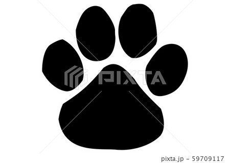 illustration of paw prints isolated on white illustration of paw prints isolated on white 59709117