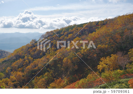 銀泉台の紅葉（北海道・上川町・大雪山系） 59709361