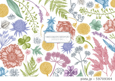 Floral design with pastel shepherd's purse, heather, fern, wild garlic, clover, globethistle Floral design with pastel shepherd's purse, heather, fern, wild garlic, clover, globethistle 59709364
