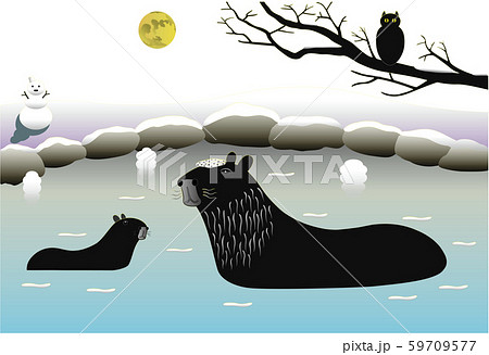 ネズミ科の動物と温泉8 カピバラとフクロウ 夜の露天風呂 のイラスト