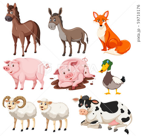 Set of farm animals 59710176