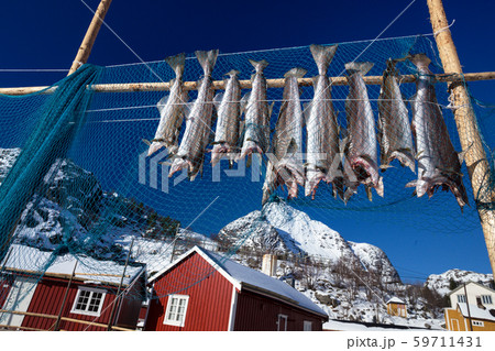 traditional norwegian wooden house rorbu traditional norwegian wooden house rorbu 59711431