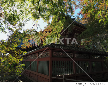 東京都・高尾山薬王院 紅葉 青空 / Yakuoin, Mt. Takao, Tokyo 東京都・高尾山薬王院 紅葉 青空 / Yakuoin, Mt. Takao, Tokyo 59711469