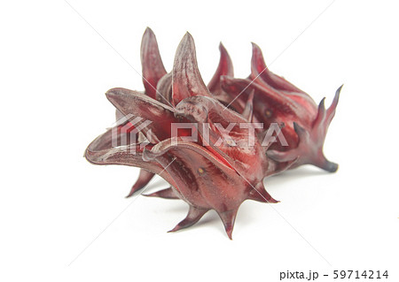 Roselle, Jamaican Sorelor or Hibiscus sabdariffa 59714214