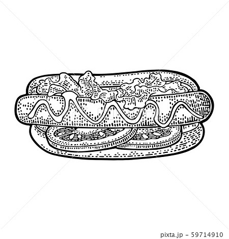 Hotdog With Tomato Mustard Leave Lettuce Vectorのイラスト素材