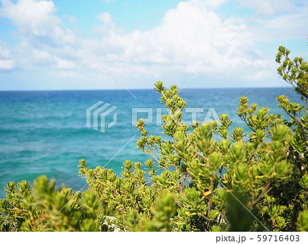 カリブ海 59716403