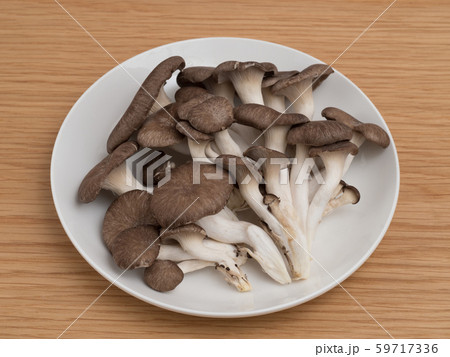 ヒラタケ ヒラタケ 59717336