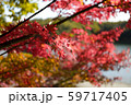 紅葉 59717405