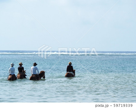 与那国島（海中乗馬） 59719339