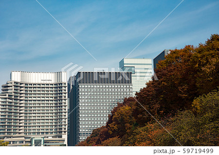丸の内ビル街の紅葉 59719499