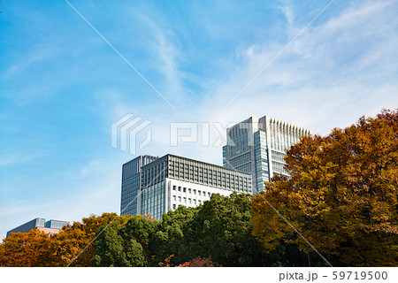 丸の内ビル街の紅葉 59719500