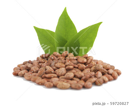 Pile of pinto beans an isolated on white Pile of pinto beans an isolated on white 59720827