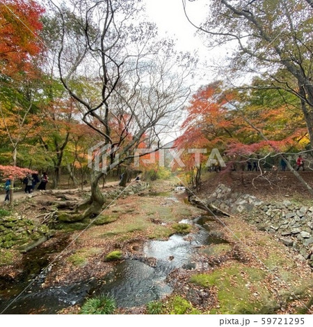 山 森 谷 59721295
