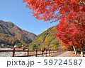駒ケ根高原 59724587