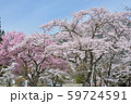 駒ケ根高原 59724591