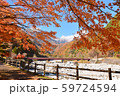 駒ケ根高原 59724594