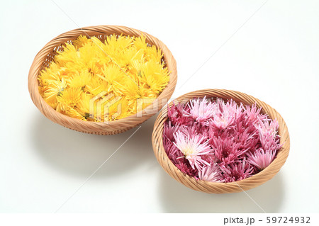 食用菊 59724932