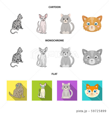 Vector design of pet and sphynx symbol. Set of pet and fun vector icon for stock. Vector design of pet and sphynx symbol. Set of pet and fun vector icon for stock. 59725899
