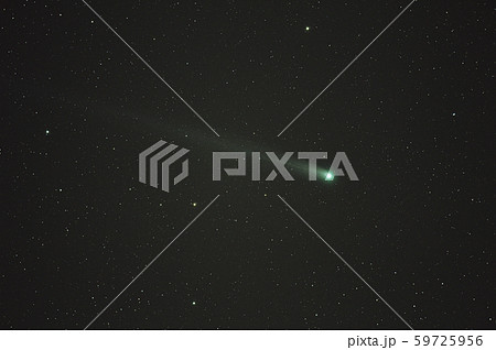 ラブジョイ彗星 ラブジョイ彗星 59725956