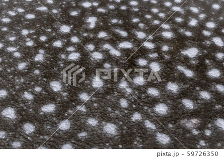 初雪の日 閉じ込められた空気07 小粒の気泡 59726350