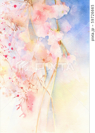 桜 花 水彩画のイラスト素材