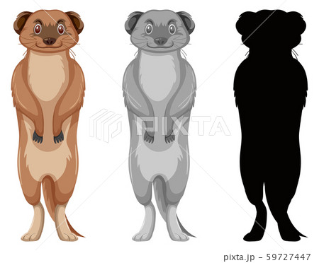 Set Of Meerkat Characterのイラスト素材
