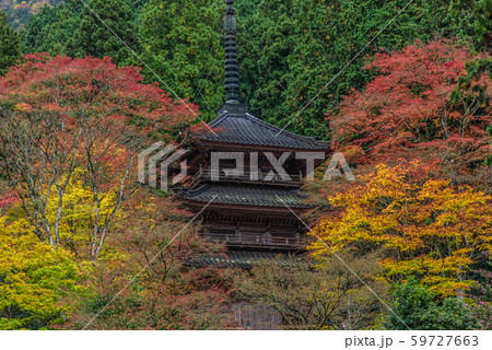 【兵庫県】高源寺 59727663