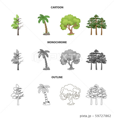 Vector design of tree and forest icon. Set of tree and green stock symbol for web. Vector design of tree and forest icon. Set of tree and green stock symbol for web. 59727862