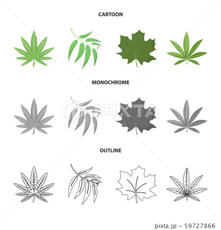 Isolated object of vegan and organic sign. Collection of vegan and fresh vector icon for stock. Isolated object of vegan and organic sign. Collection of vegan and fresh vector icon for stock. 59727866