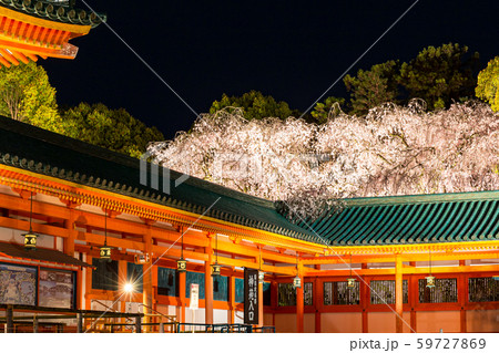 平安神宮 紅しだれコンサート の写真素材