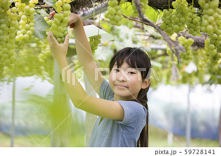 ぶどう狩りをする女の子 ぶどう狩りをする女の子 59728141