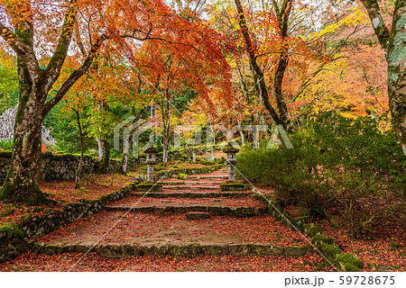 【兵庫県】高源寺 59728675