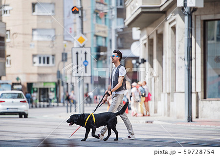 Young blind man with white cane and guide dogの写真素材