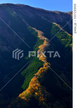 なめご谷の紅葉 59728900