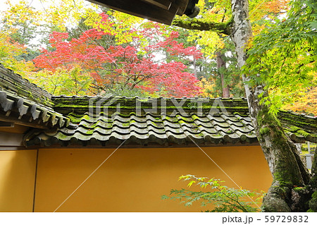 西明寺の秋 59729832