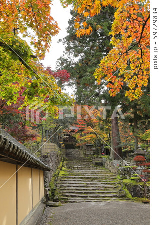 秋の西明寺表参道 59729834