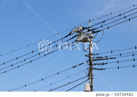 電信柱と青空 59730482