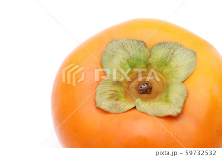 柿　果物 59732532
