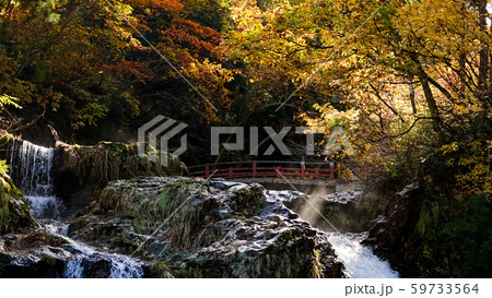 Autumn color of yellow and red maple leaves at  waterfall in Japan 59733564