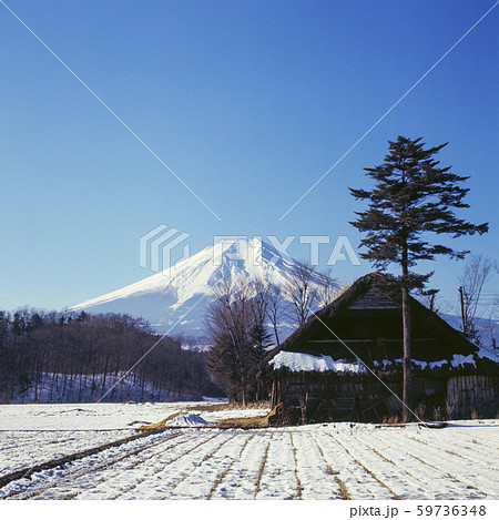 1970年代よりも前に撮影した富士山の風景 59736348