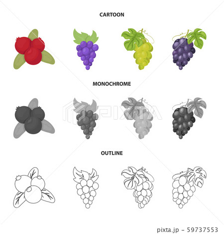 Vector design of berry and fruit logo. Collection of berry and redberry stock symbol for web. 59737553