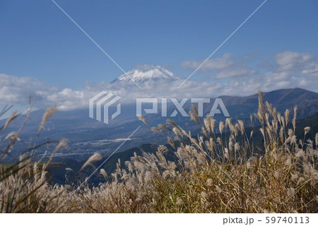 富士山とススキ 59740113