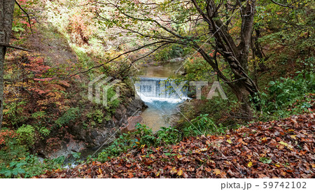 Naruko Gorge landscape in Miyagi, Japan Naruko Gorge landscape in Miyagi, Japan 59742102
