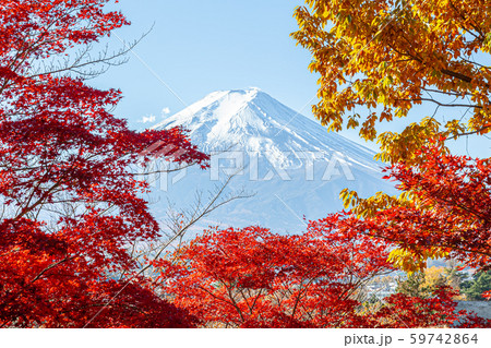 秋の新倉山浅間公園から見た富士山 59742864