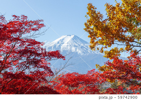 秋の新倉山浅間公園から見た富士山 59742900