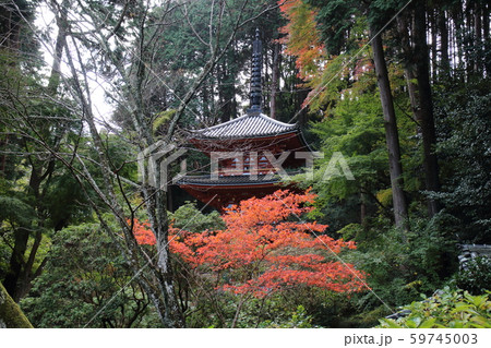 岩船寺 岩船寺 59745003