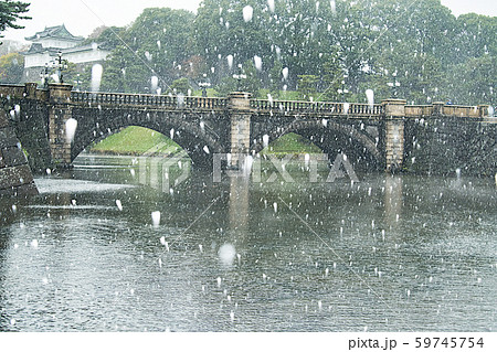 雪の皇居二重橋付近 雪の皇居二重橋付近 59745754