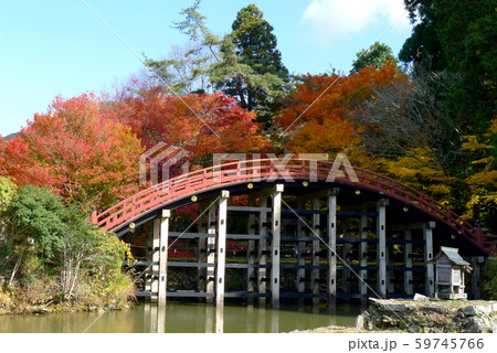 世界遺産　秋の丹生都比売神社太鼓橋 59745766