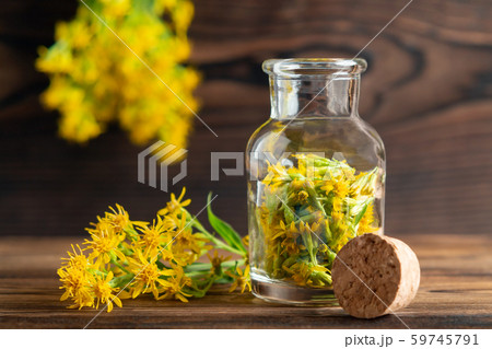 Concept of homeopathy and herbal treatment - solidago virgaurea know as goldenrod in a bottle Concept of homeopathy and herbal treatment - solidago virgaurea know as goldenrod in a bottle 59745791